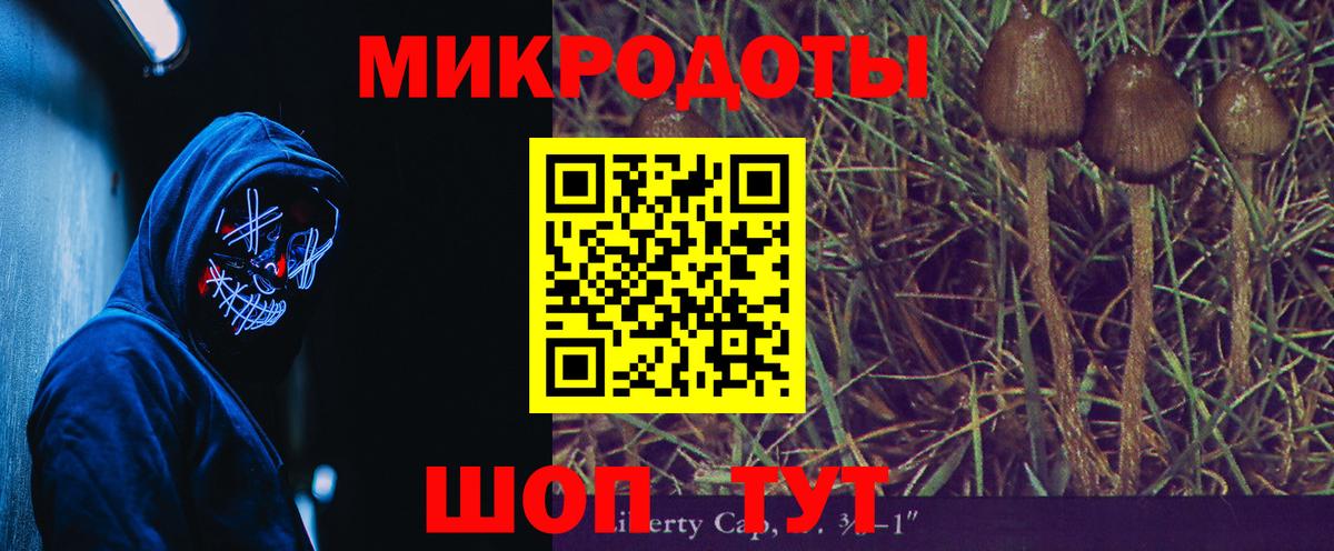 Псилоцибиновые грибы мухоморы Дубна